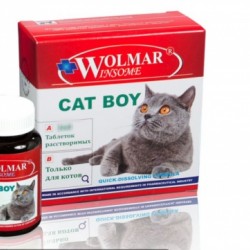 Wolmar winsome cat boy