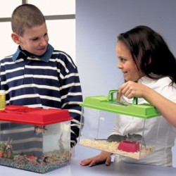 Savic аквариум-террариум пластиковый fauna box