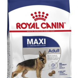 Royal Canin (Роял Канин) maxi adult для взрослых собак крупных пород