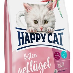 Happy cat (Хэппи кэт) Киттен  Птица