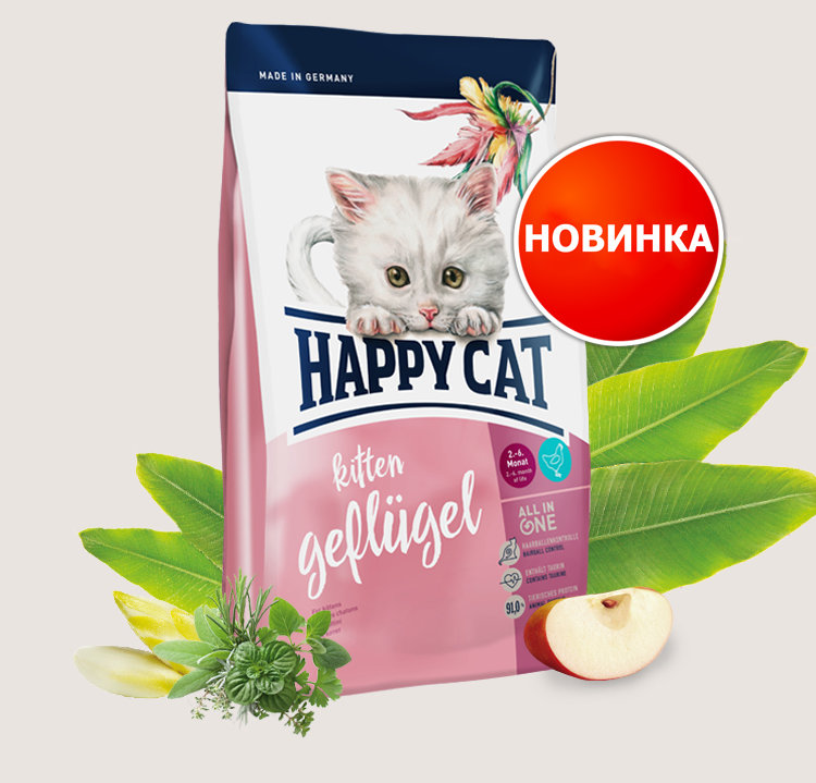Happy cat (Хэппи кэт) Юниор  Птица