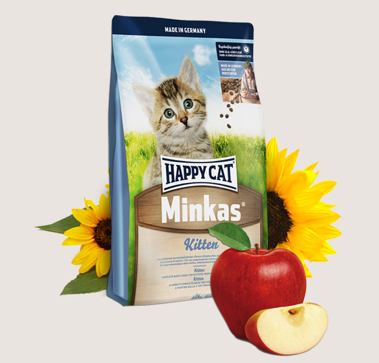 Happy cat (Хэппи кэт) Киттен  Минкас для котят