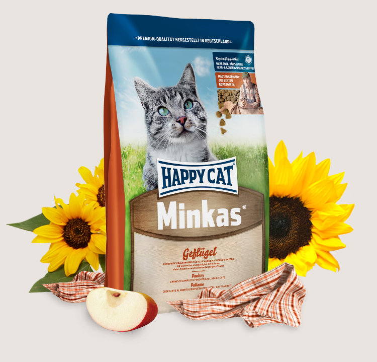 Happy cat (Хэппи кэт) Эдалт  Минкас с птицей