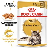 Royal Canin (Роял Канин) maine coon adult (в соусе) мейн кун