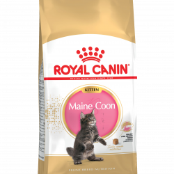 Royal Canin (Роял Канин) kitten мaine coon для котят мейн-кун: 4-12мес.