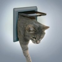 Trixie дверца для кошки , с двумя функциями