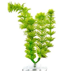 Tetra deco art искусственное растение Амбулия