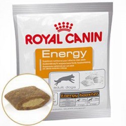 Royal Canin (Роял Канин) energy лакомство для взрослых собак
