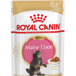Royal Canin (Роял Канин) Maine Coon Kitten кусочки в соусе для котят породы мейн-кун в возрасте от 3 до 15 месяцев