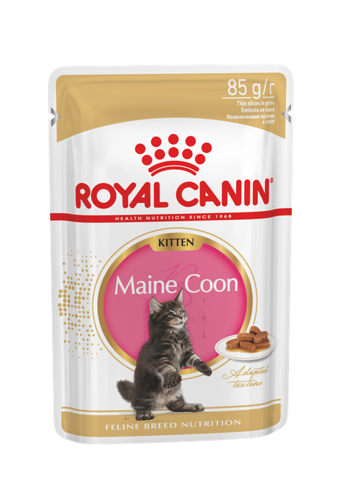 Royal Canin (Роял Канин) Maine Coon Kitten кусочки в соусе для котят породы мейн-кун в возрасте от 3 до 15 месяцев