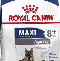 Royal Canin (Роял Канин) maxi ageing 8+ для пожилых собак крупных пород старше 8 лет