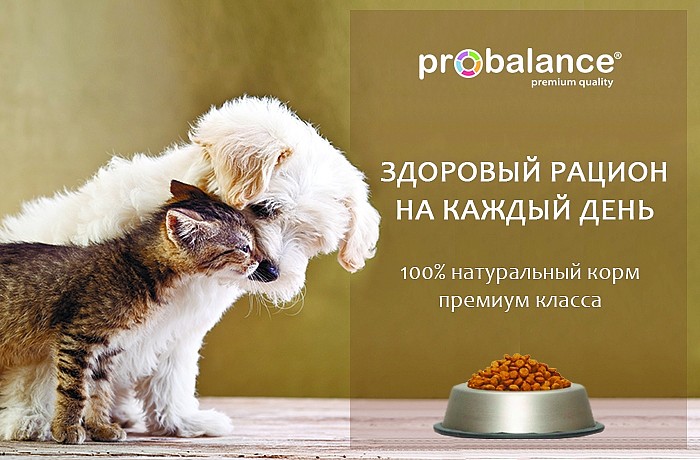 Статьи » Корма для кошек и собак Probalance-из экологически чистой Тверской  области.