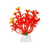 УЮТ Растение аквариумное Гемиантус оранжевый 0,02кг (ВК107)
