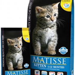 Farmina (Фармина) matisse kitten для котят, беременных и кормящих кошек