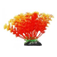 УЮТ Растение аквариумное Амбулия оранжевая 0,055кг (ВК223)