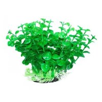 УЮТ Растение аквариумное Бакопа зеленая 0,1кг (ВК302)