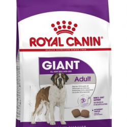 Royal Canin (Роял Канин) giant adult для взрослых собак гигантских пород