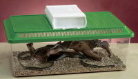 Savic аквариум-террариум пластиковый fauna box плоский
