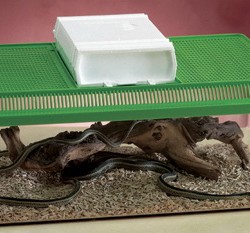 Savic аквариум-террариум пластиковый fauna box плоский