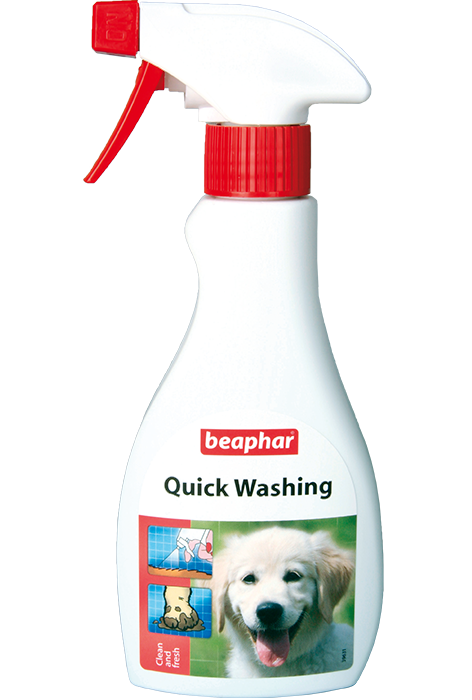 Beaphar экспресс-шампунь для собак и кошек (quick washing)