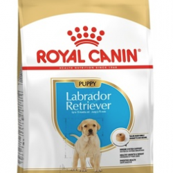 Royal Canin (Роял Канин) labrador retriever puppy корм для щенков лабрадора ретривера