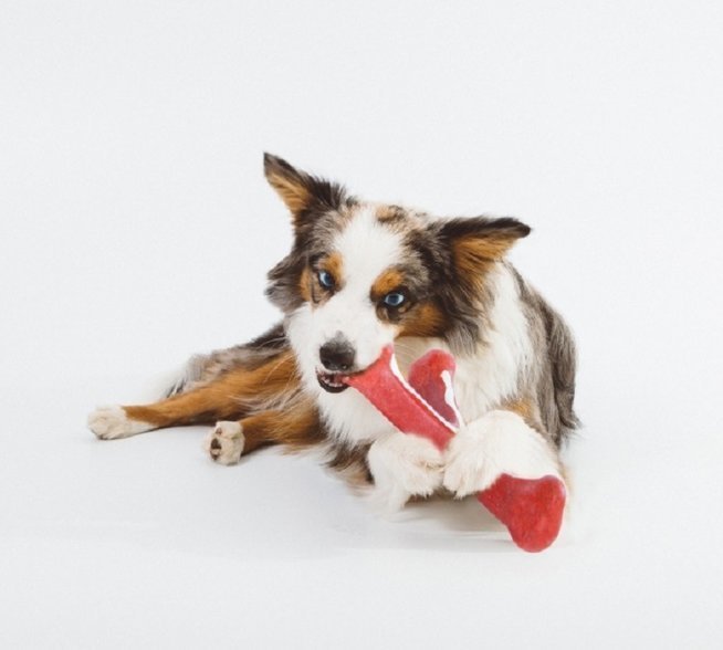 Petstages игрушка для собак Wishbone с ароматом бекона