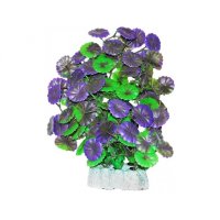 УЮТ Растение акваримуное Щитолистник зелено-фиолетовый 0,27кг (ВК506)