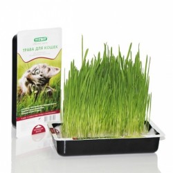 TiTBiT (Титбит) трава для кошек
