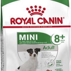 Royal Canin (Роял Канин) mini adult 8+ для стареющих собак мелких пород