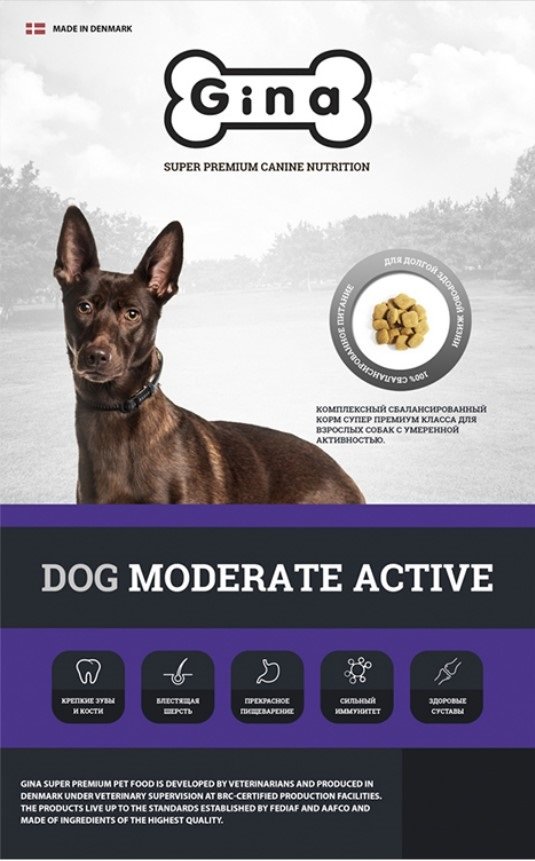 Gina корм для собак. Gina Dog moderate Active 18 кг (Сербия). Джина дог. Dog moderate Active. Джина модерат Актив для собак.
