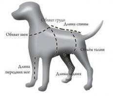 OSSO Fashion Зимний комбинезон для собак  кобель