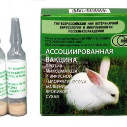 Ассоц. вакцина для кроликов (миксомотоз и ВГБК) 1 ФЛ = 10 ДОЗ