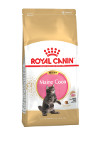 Royal Canin (Роял Канин) kitten мaine coon для котят мейн-кун: 4-12мес.