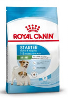 Royal Canin Mini Starter Корм сухой полнорационный для собак мелких пород (до 10 кг) в конце беременности и в период лактации, а также для щенков в период отъема от матери и до 2-х месячного возраста РАСПРОДАЖА