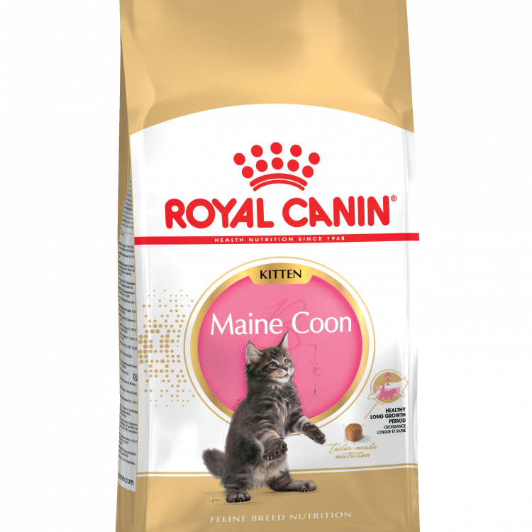 Royal Canin (Роял Канин) kitten мaine coon для котят мейн-кун: 4-12мес. РАСПРОДАЖА