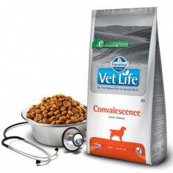 Farmina (Фармина) vet life dog CONVALESCENCE для собак (в период выздоровления)