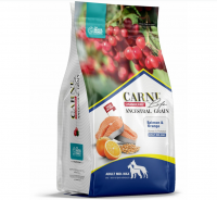 CARNI LIFE (Карни Лайф) Medium Maxi лосось с апельсином и клюквой для собак средних и крупных пород