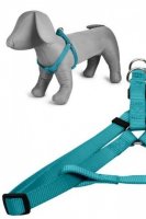 Papillon нейлоновая шлейка бирюзовый (nylon harness,colour turquoise)