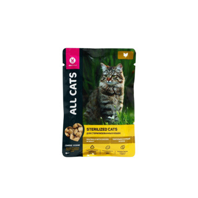 All Cats  (Олл Кэтс) Пауч  для кошек  с тефтельками  в соусе 85 гр