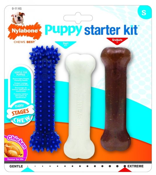Nylabone Стартовый набор для щенков , S (Puppy Starter Kit)
