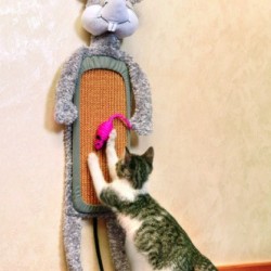 Karlie когтеточка настенная мышонок тимми, с игрушкой, сизаль-плюш