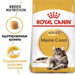 Royal Canin (Роял Канин) maine coon корм для взрослых кошек породы мэйн кун