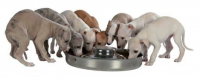 wikiLAB Стальная миска для щенков с выступом