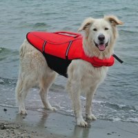 Trixie  спасательный жилет для собак , красный черный