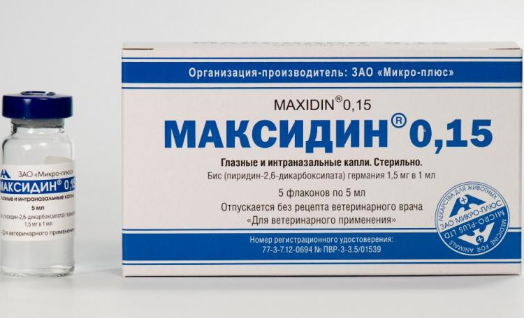 Максидин 0,15, капли глазные и интраназальные, 5 мл №5