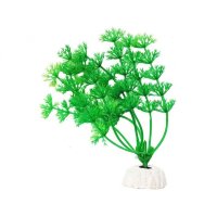 УЮТ Растение аквариумное Амбулия зеленая 0,02кг (ВК103)